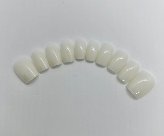 Short Squoval Off White Glossy Nails-CH002